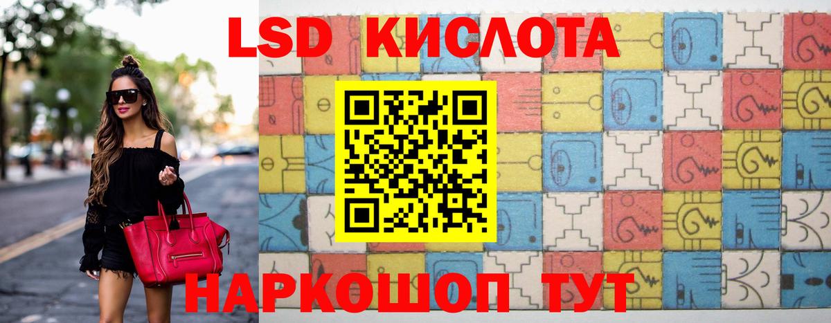 МЕФ Камышин