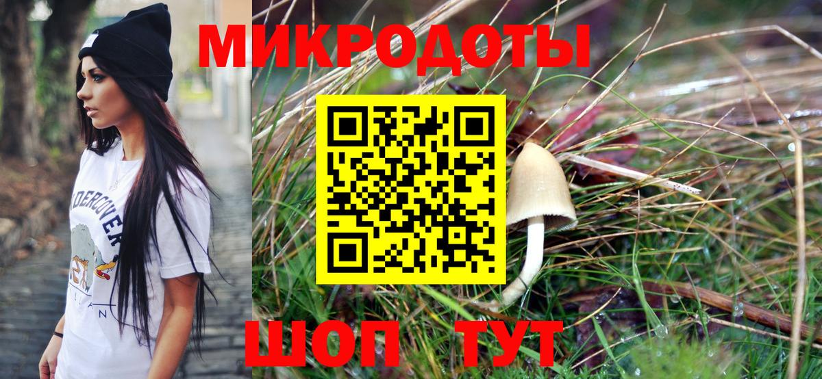 Камышин  Псилоцибиновые грибы мицелий  Вход с VPN 